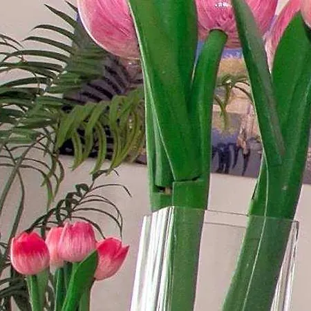 B&B Butterfly Danube 4*