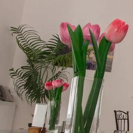 לינה וארוחת בוקר Butterfly Danube