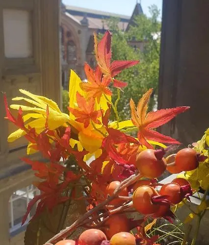 버터플라이 다뉴브 부다페스트