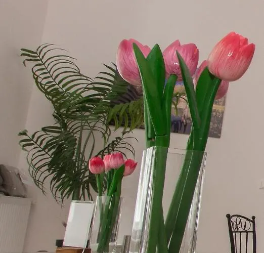 Bed & Breakfast Butterfly Danube