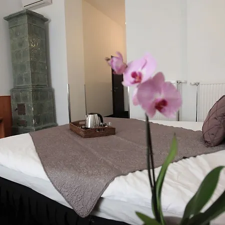 Butterfly Danube Budapest