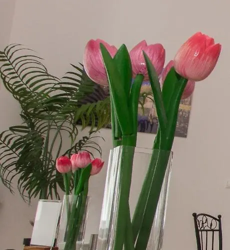 バタフライ ホーム ドナウ